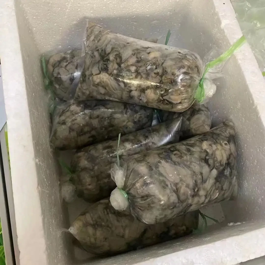 莆田灵川鲜甜小海蛎新鲜1斤-5斤生蚝现撬现发顺丰和邮政EMS