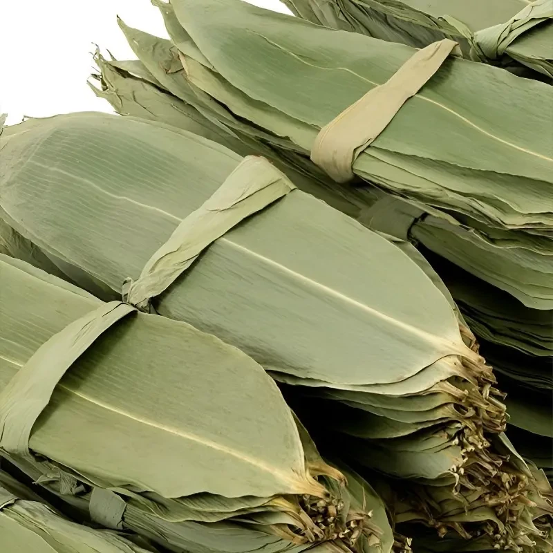 干粽叶大宽叶家用端午节包粽子专用竹叶自然生长鲜粽叶批发