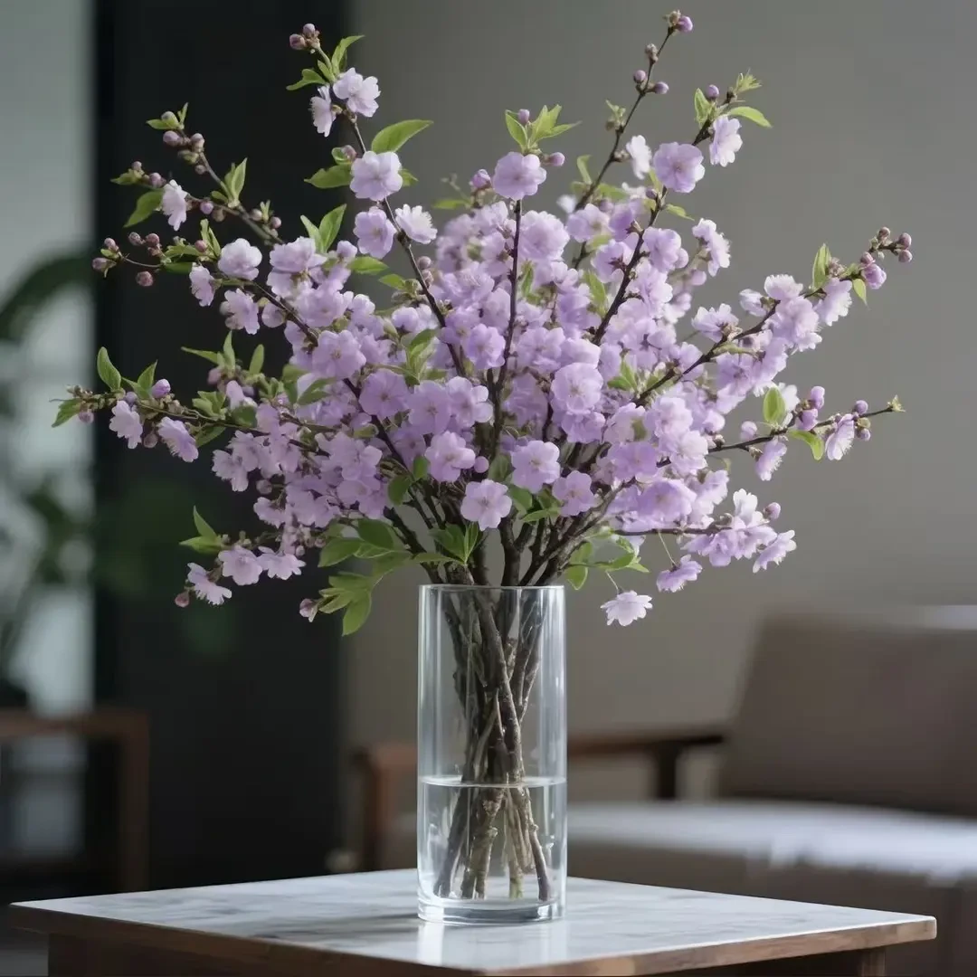 【 水培植物 】遇水开花鲜枝浓香型水培梅花枝新品款室内绿植耐寒塵