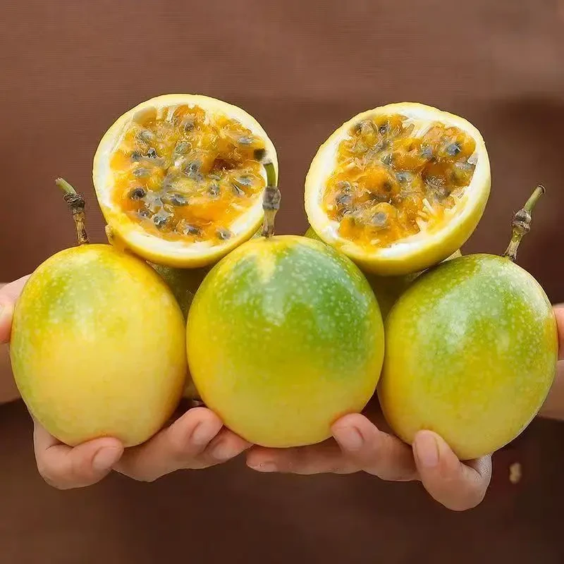 正宗钦蜜9号黄色金百香果营养产地直发新鲜水果皱皮香甜酸甜多汁