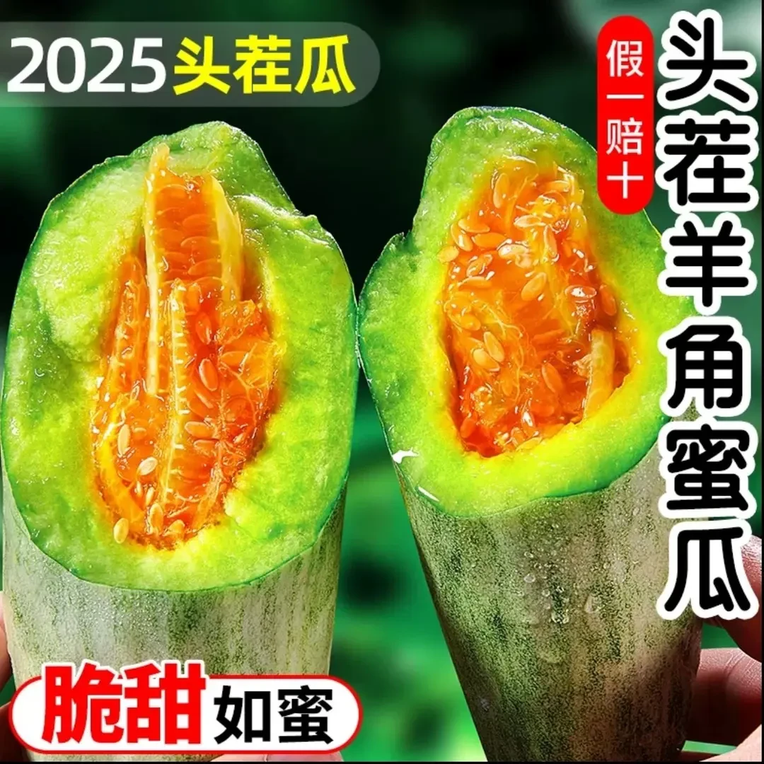 【超划算】山东羊角密甜瓜新鲜水果孕妇蜜瓜头茬香瓜应当季现摘现发