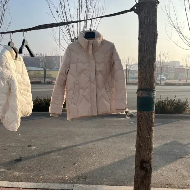 新款短款立领女士羽绒服时尚百搭保暖显瘦