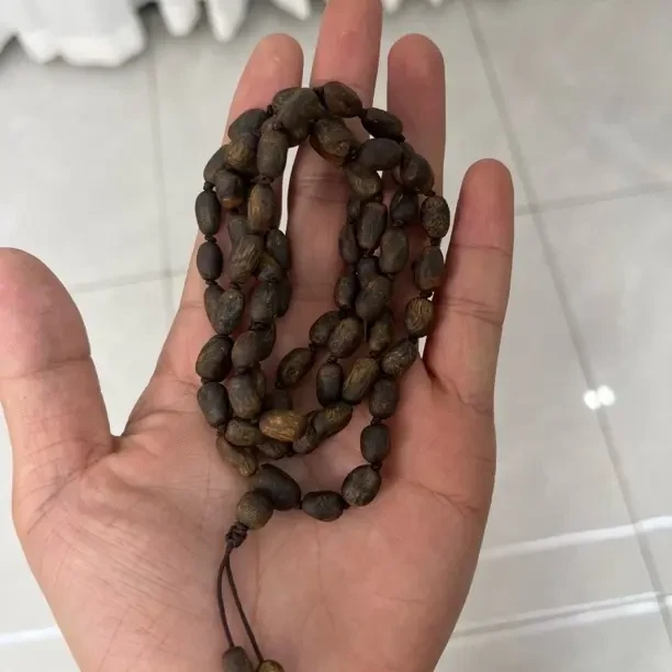 沉香沉香树丁料紫棋楠沉水沉香长串多样性发一