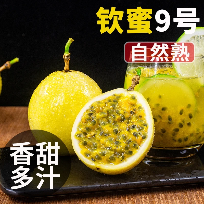 【香甜多汁】钦蜜9号黄金百香果广西新鲜水果当季产地直发