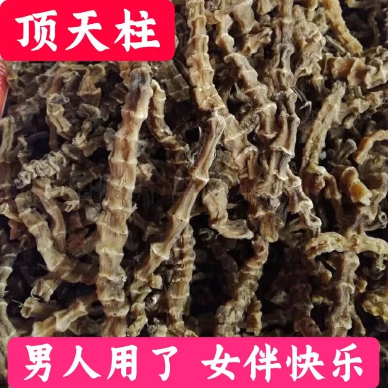 顶天柱 阳鞭劲云南苗家腾冲特产泡酒料 精选虫草参