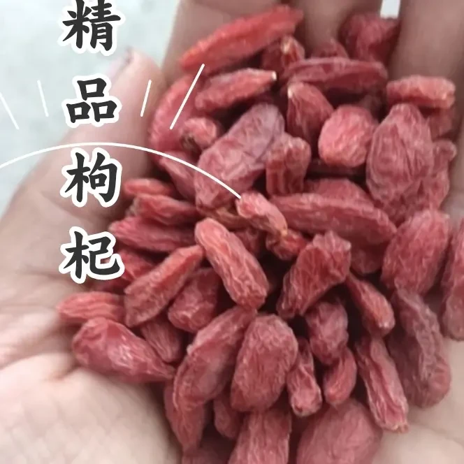 【干枸杞】宁夏中宁头茬新货大颗粒枸杞免洗可泡茶滋补