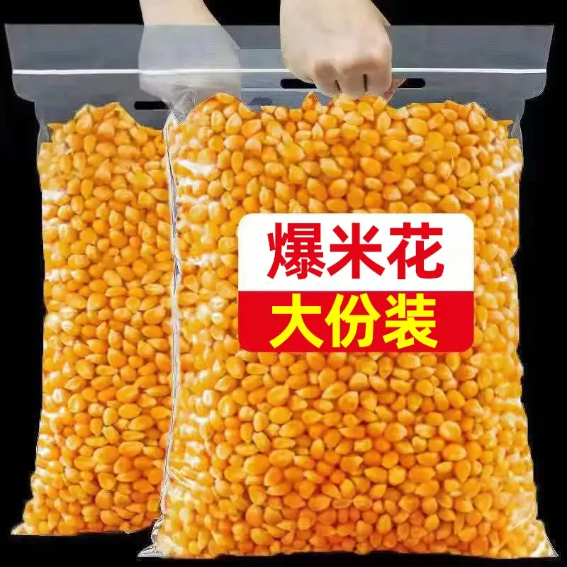 【半价抢】爆米花玉米粒1斤家用电影院自做爆米花苞米爆米花玉米粒