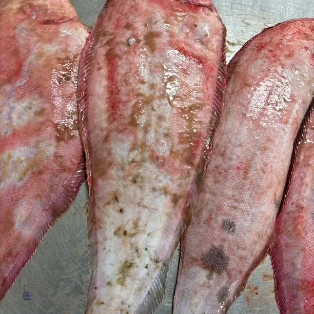 【小花家】大踏板鱼 龙利鱼（直播间称重链接）