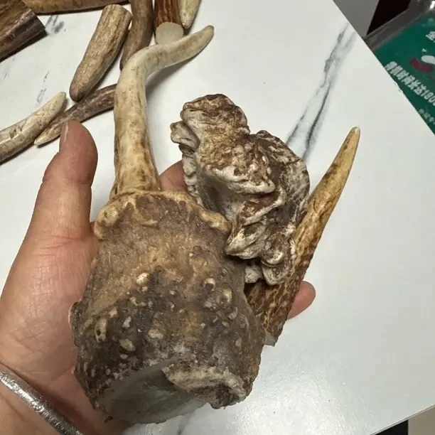 工艺品手把件鹿角手把件