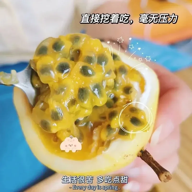 x广西钦蜜9号黄金百香果果新鲜水果新鲜水果当季整箱百香果包邮