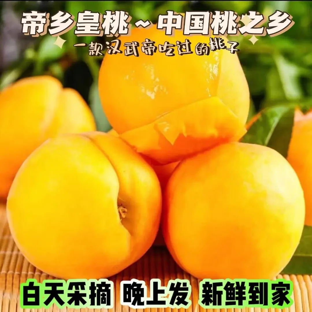 【枣阳皇桃-圆通速发-纯甜无酸】2025年头茬湖北黄桃3-4.5斤桃子YT