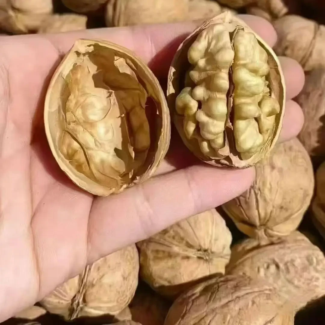 新疆阿克苏纸皮核桃185品种手捏即开薄皮饱满营养美味