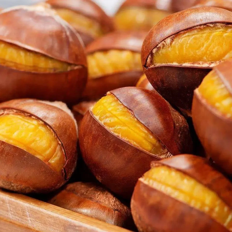 开口糖炒栗子现炒熟板栗熟栗子熟糖炒栗子糖炒板栗炒熟即食板油栗