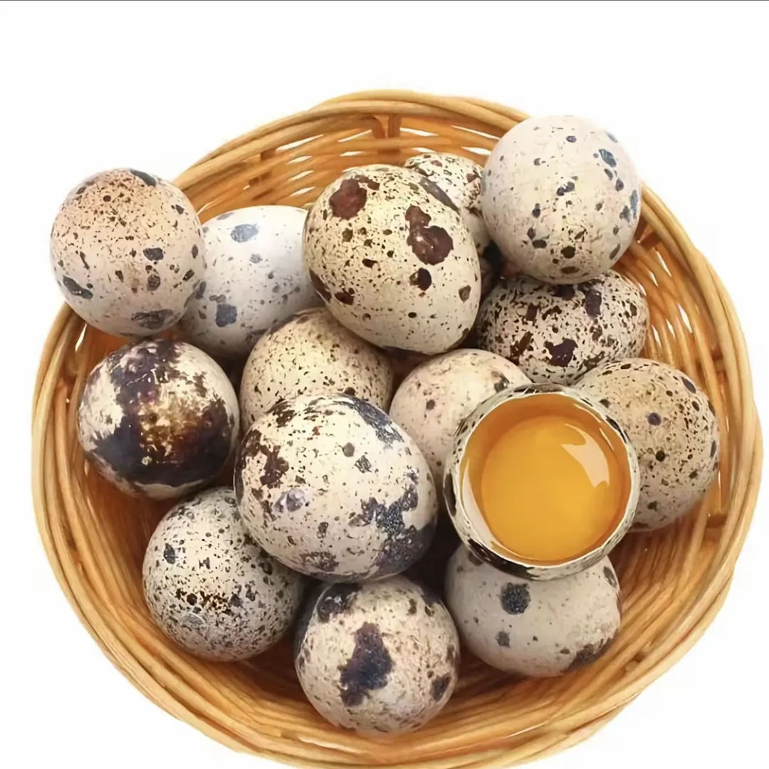 【顺丰霍得鲜生专属】农家散养新鲜生鹌鹑蛋孕妇宝宝辅食营养好选择