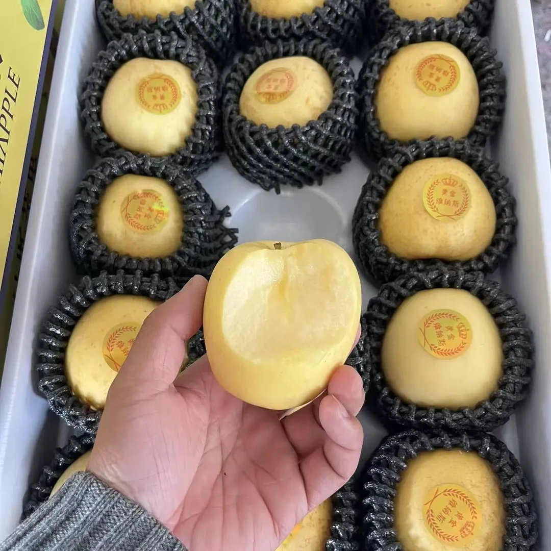 维纳斯苹果脆甜多汁当季新鲜水果5斤包邮