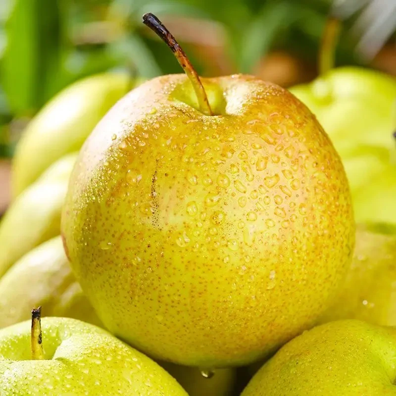 山西丹霞红香梨新鲜水果薄皮无渣现货酥香细皮母梨