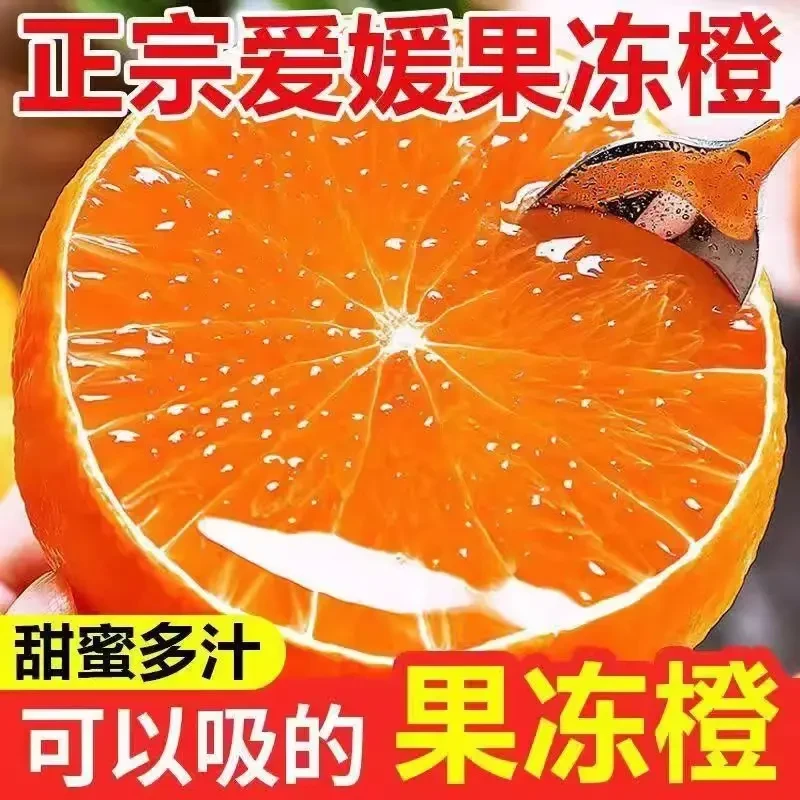 【彩箱&泡沫托】四川眉山爱媛38号果冻橙果园现摘新鲜应季w