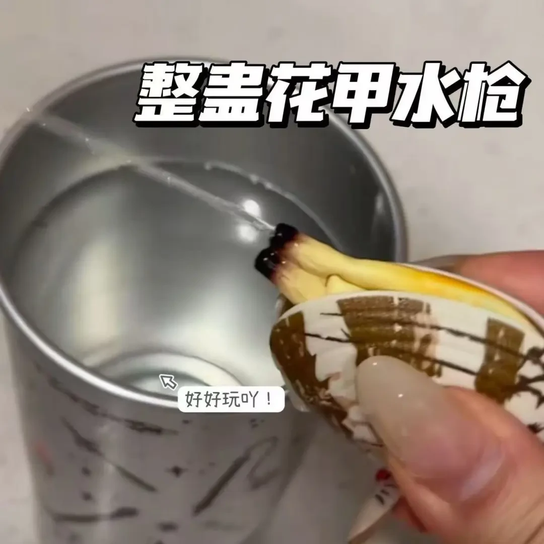 仿真蛤蜊喷水喷水整蛊玩具按压水枪滋水创意户外戏水迷你女孩礼物