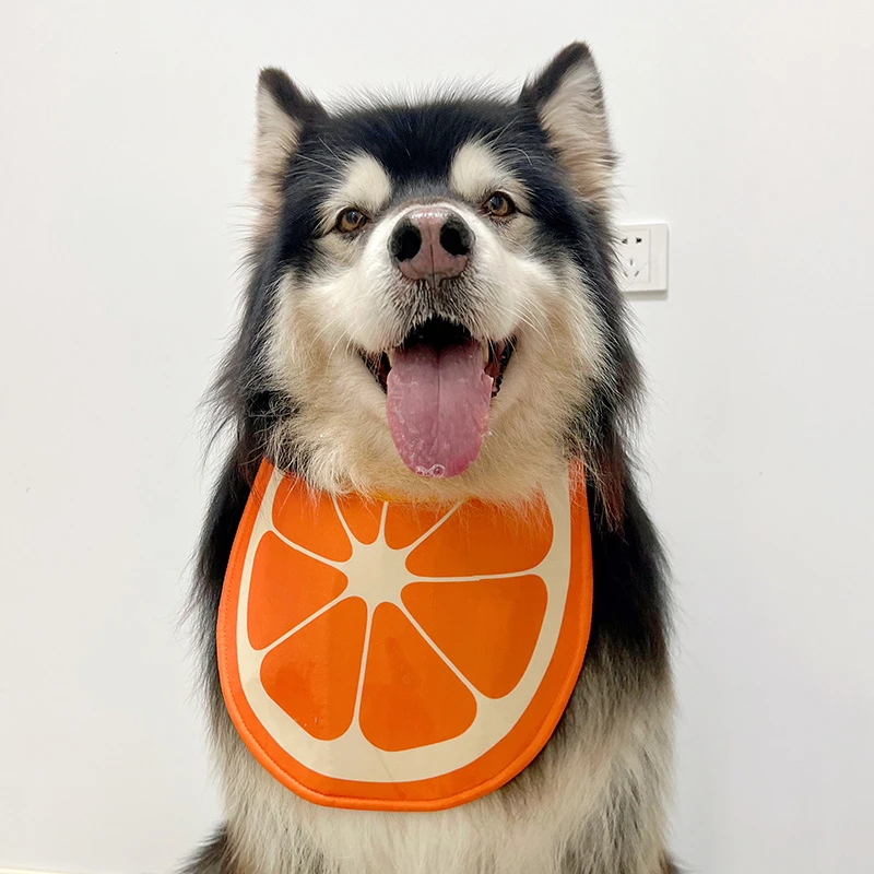 宠物狗狗可自立接口加厚阿拉斯加中大型犬围巾围脖口水巾口水围兜