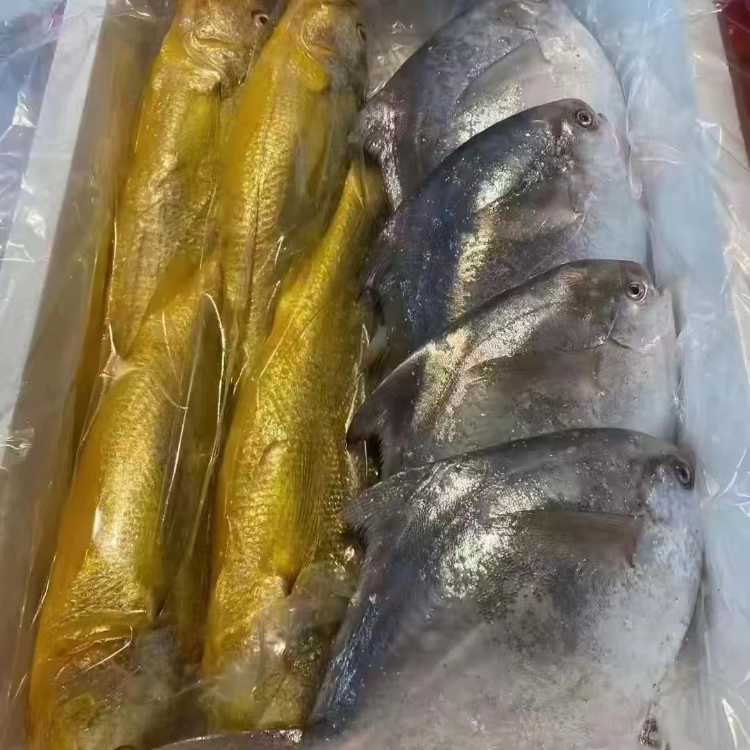 【 舟山小徐】正宗舟山海鲜鱼虾蟹直播间现称现拍链接