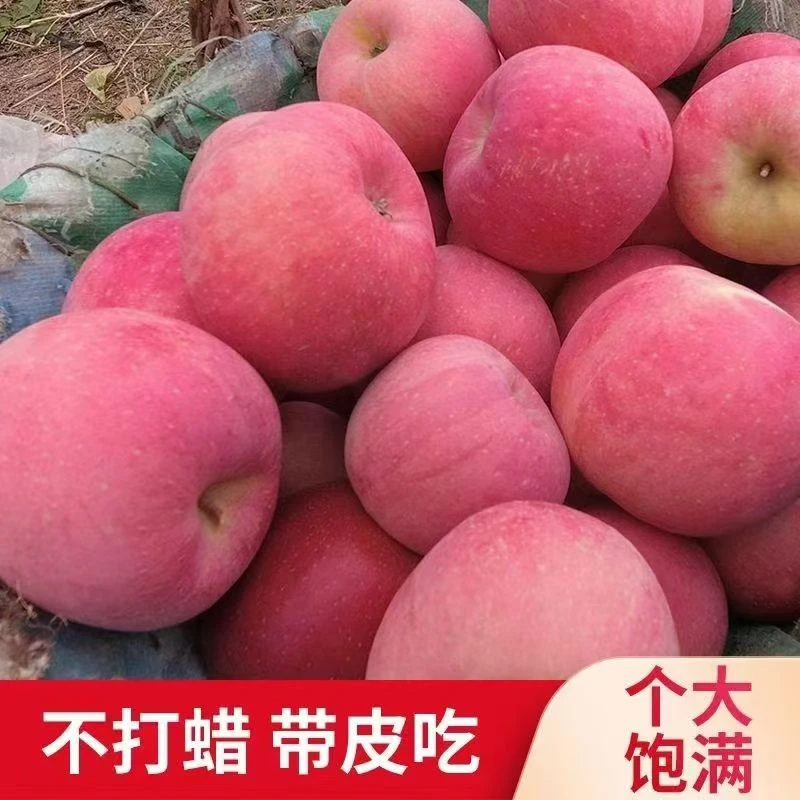 24年新果正宗山东红富士脆甜多汁净重4.5斤直径75mm