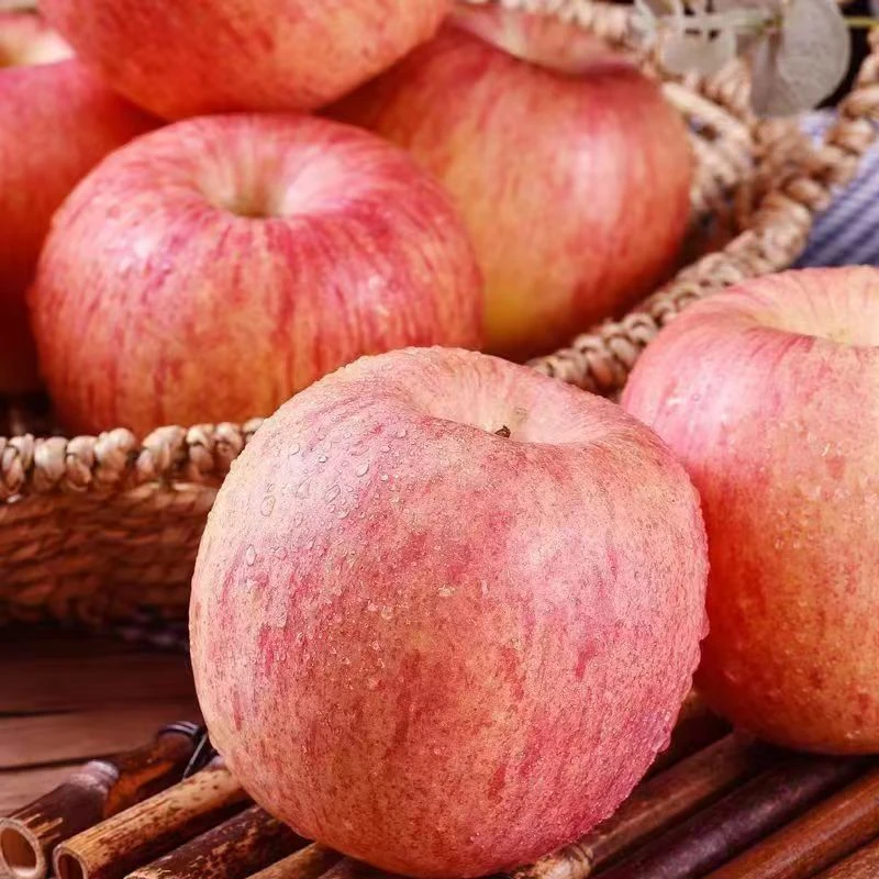 24年新果正宗山东红富士脆甜多汁净重4.5斤一级果直径75mm以上