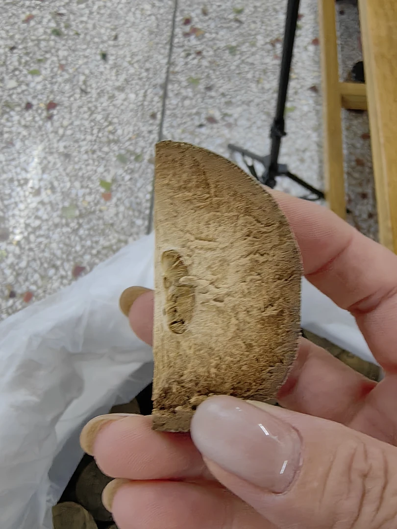 化州橘红2001年老圆果甘醇可口怎么煮都不苦
