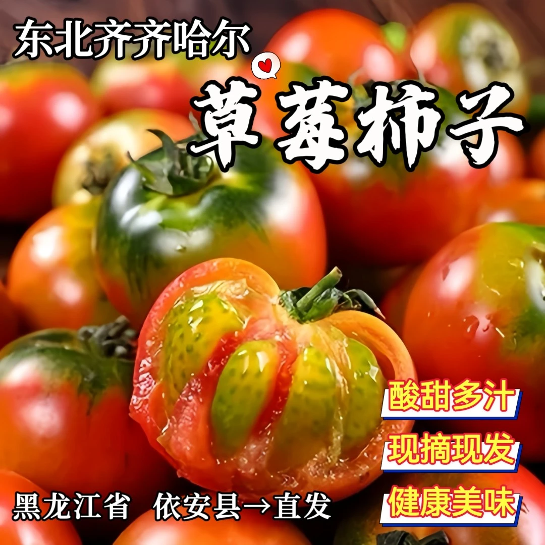 东北草莓柿子酸甜爽脆新鲜铁皮柿子孕妇水果原产地直发自然成熟