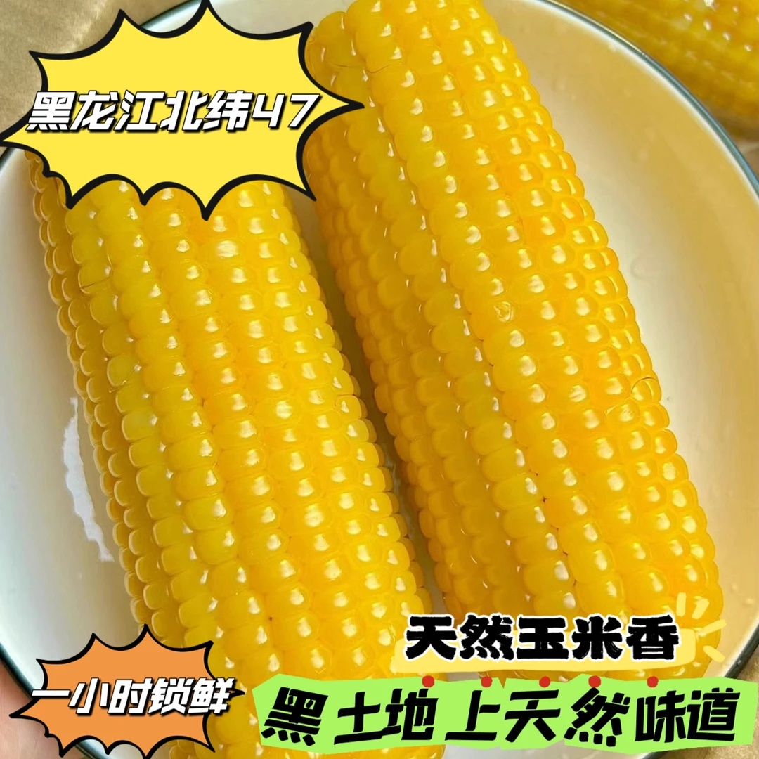 东北黄糯玉米新鲜真空包装软糯香甜