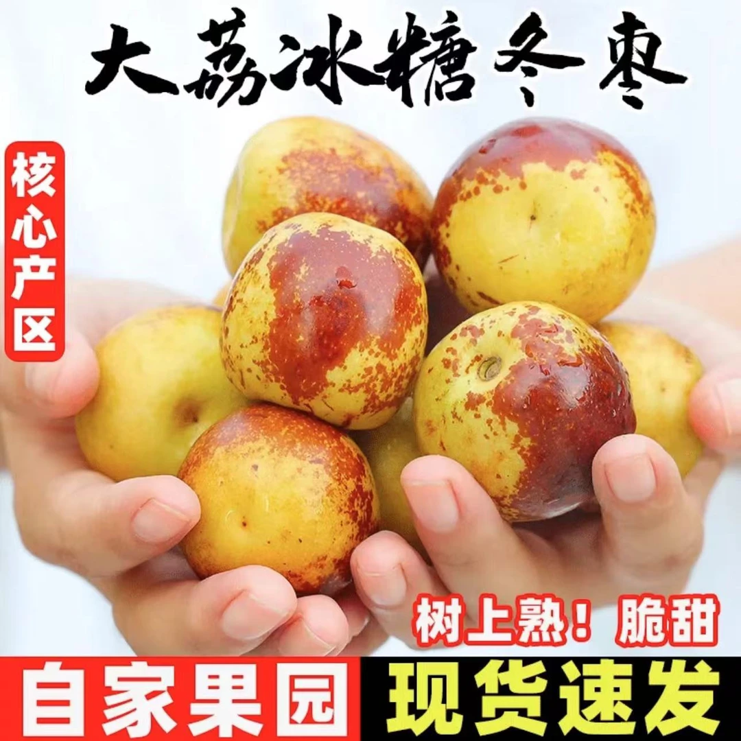 (包邮)正宗陕西大荔冬枣精选脆甜多汁冰糖枣现摘产地直发爽口