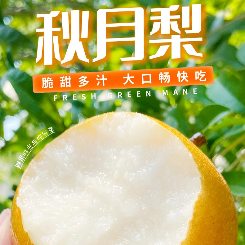 【保真】正宗山东莱阳秋月梨水果礼盒入口无渣新鲜应季水果核心产区