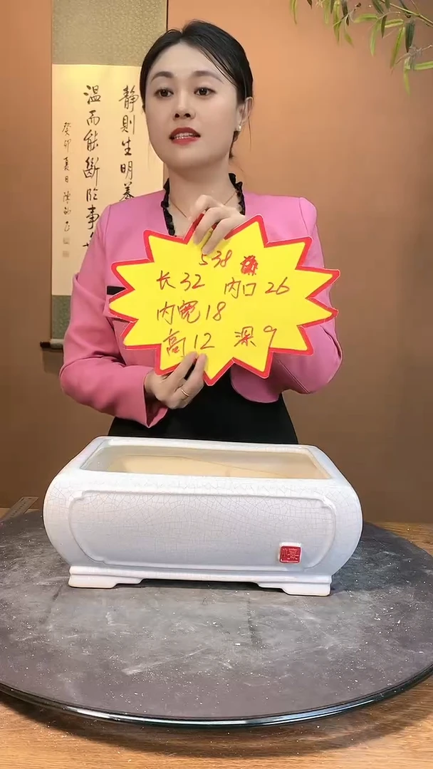 【闪购商品】陶瓷538白色