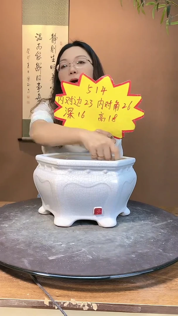 【闪购商品】陶瓷20CM（含）-50CM（不含）514白色