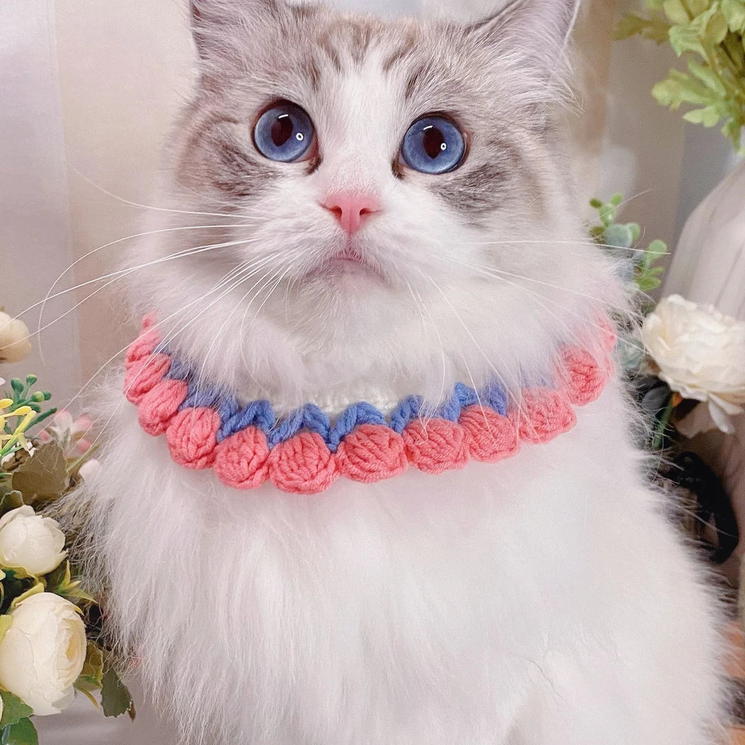 猫狗猫猫项圈可爱宠物针织围脖奶油花边围兜手工勾织郁金香猫项圈