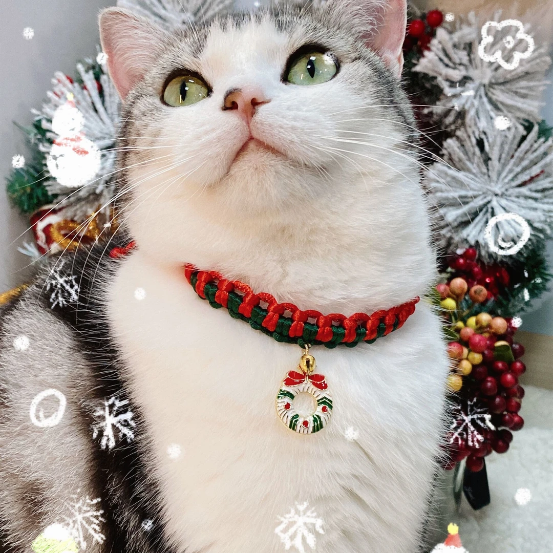 宠物圣诞项圈手工编织圣诞红绳围脖项链圣诞猫咪铃铛狗狗项圈脖圈