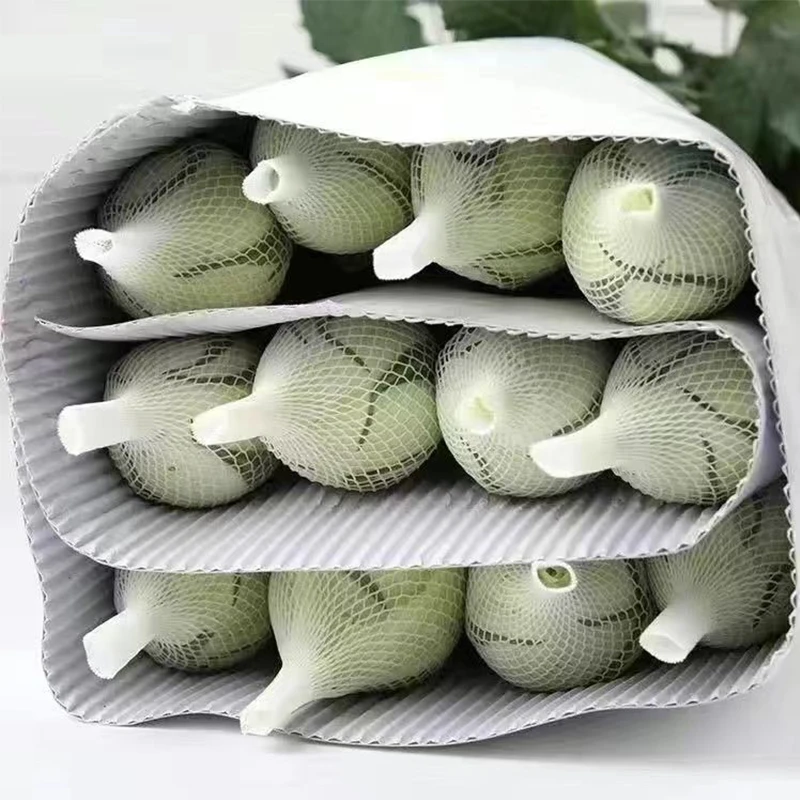 【直播专属白玫瑰】坦尼克玫瑰白玫瑰云南玫瑰鲜花基地直发