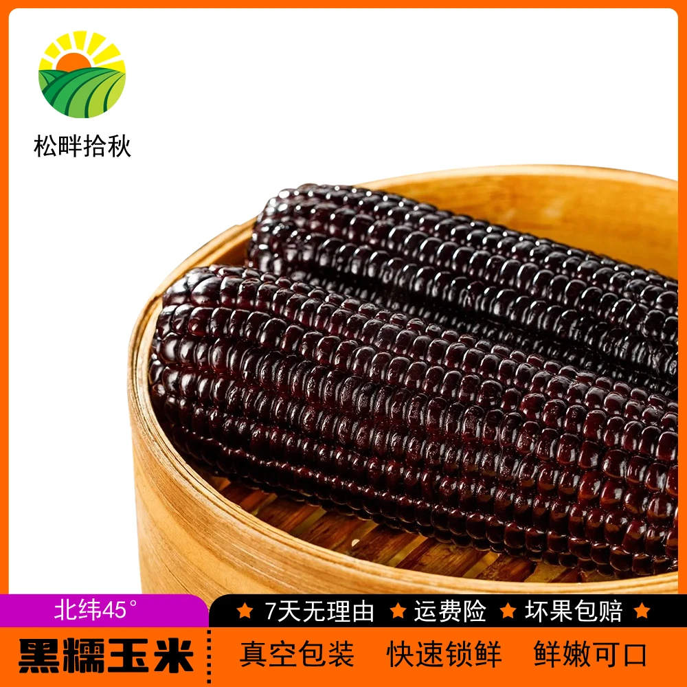 24年东北黑糯玉米10支 整箱6斤左右软糯香甜 蒸煮 粗粮 独立包装
