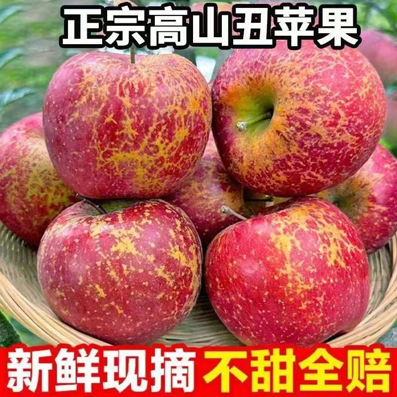 2024大苹果99897878998