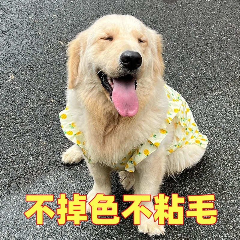 大型狗衣服狗狗夏天衣服狗狗裙子金毛边牧中大型犬宠物衣服
