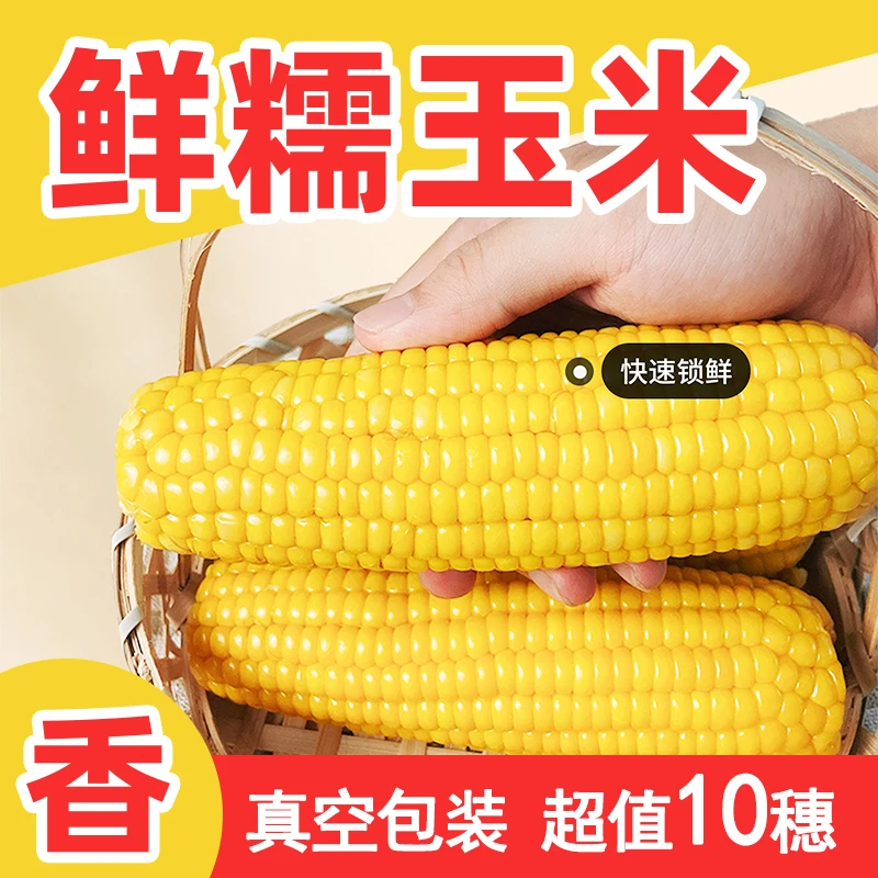 东北黑土地黄糯玉米200g*10根真空糯玉米黏玉米延边颗粒饱满