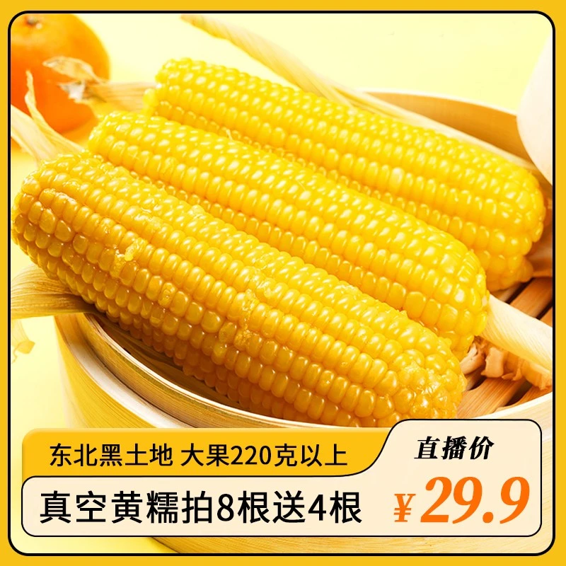 2023年吉林鲜食黄糯玉米220g*8根多送4根 软糯真空包装TY