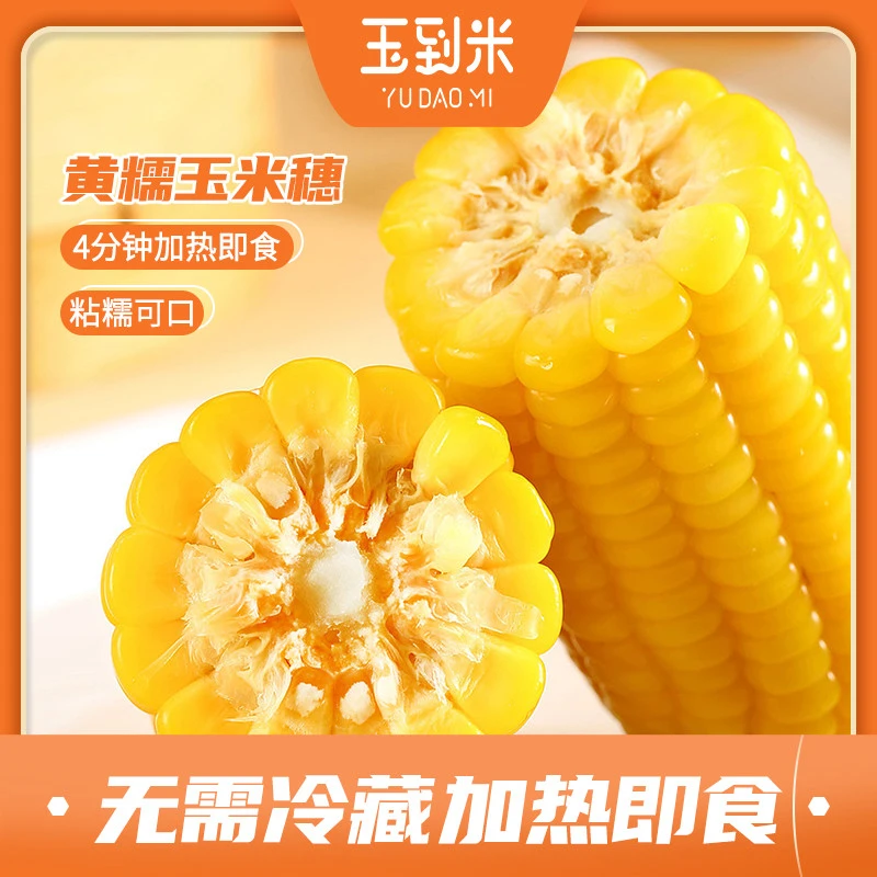 东北黄糯玉米200g/根 真空包装整箱包邮