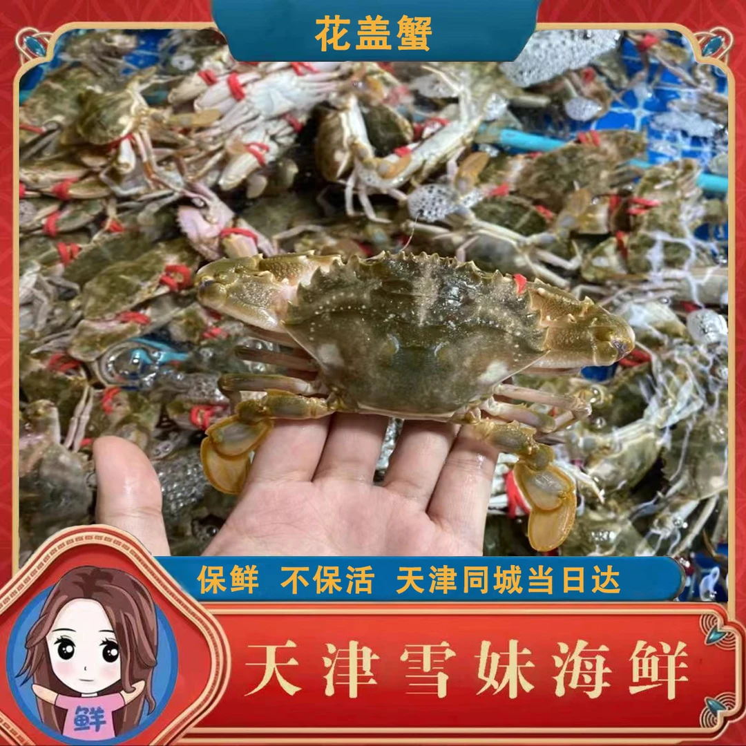 雪妹【保鲜不保活】花盖蟹2-5斤，单只1-2两左右一只