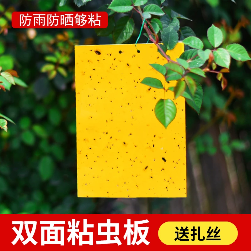 黄板双面粘虫板诱虫蓝板飞虫小黑飞粘板针蜂菜园果园庭院大棚专用