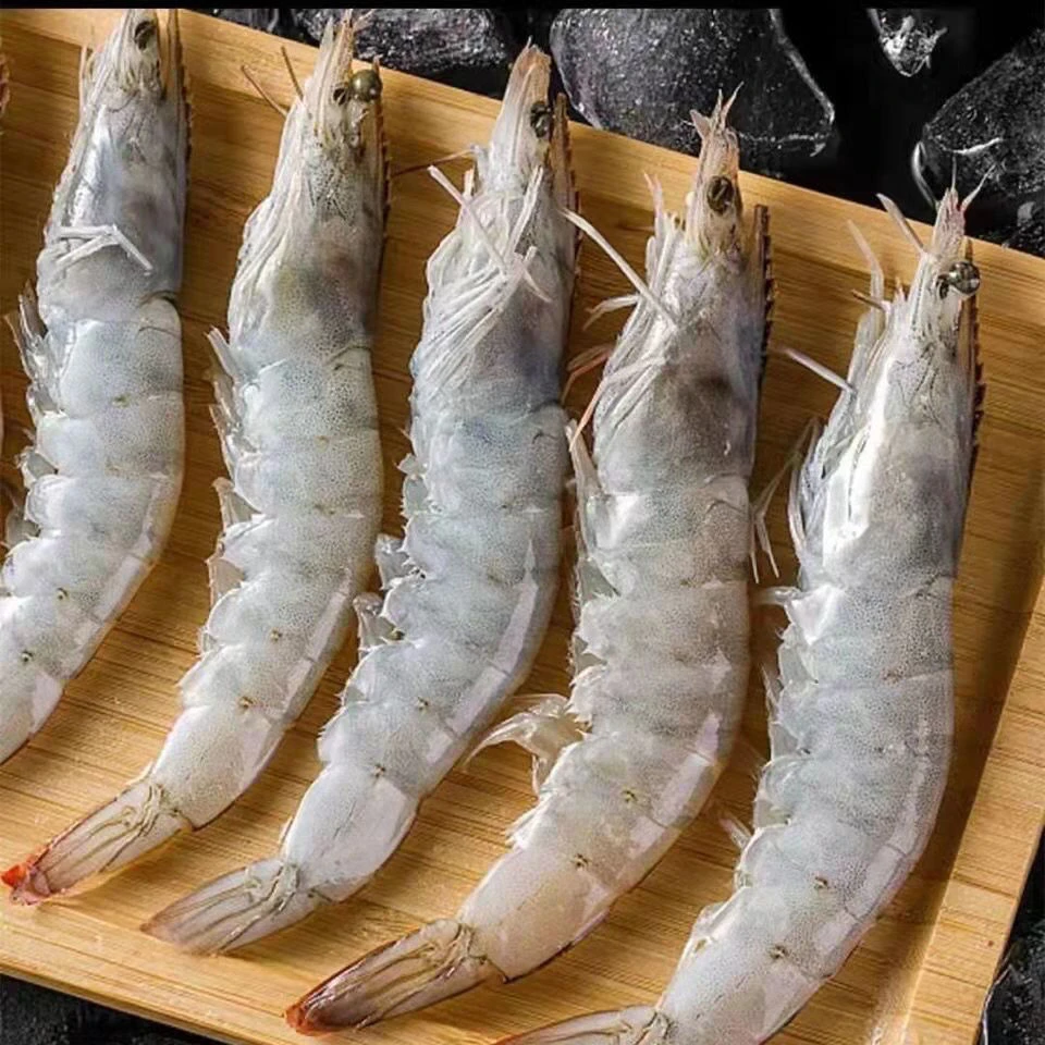 新鲜海捕大虾 3斤 江苏发货