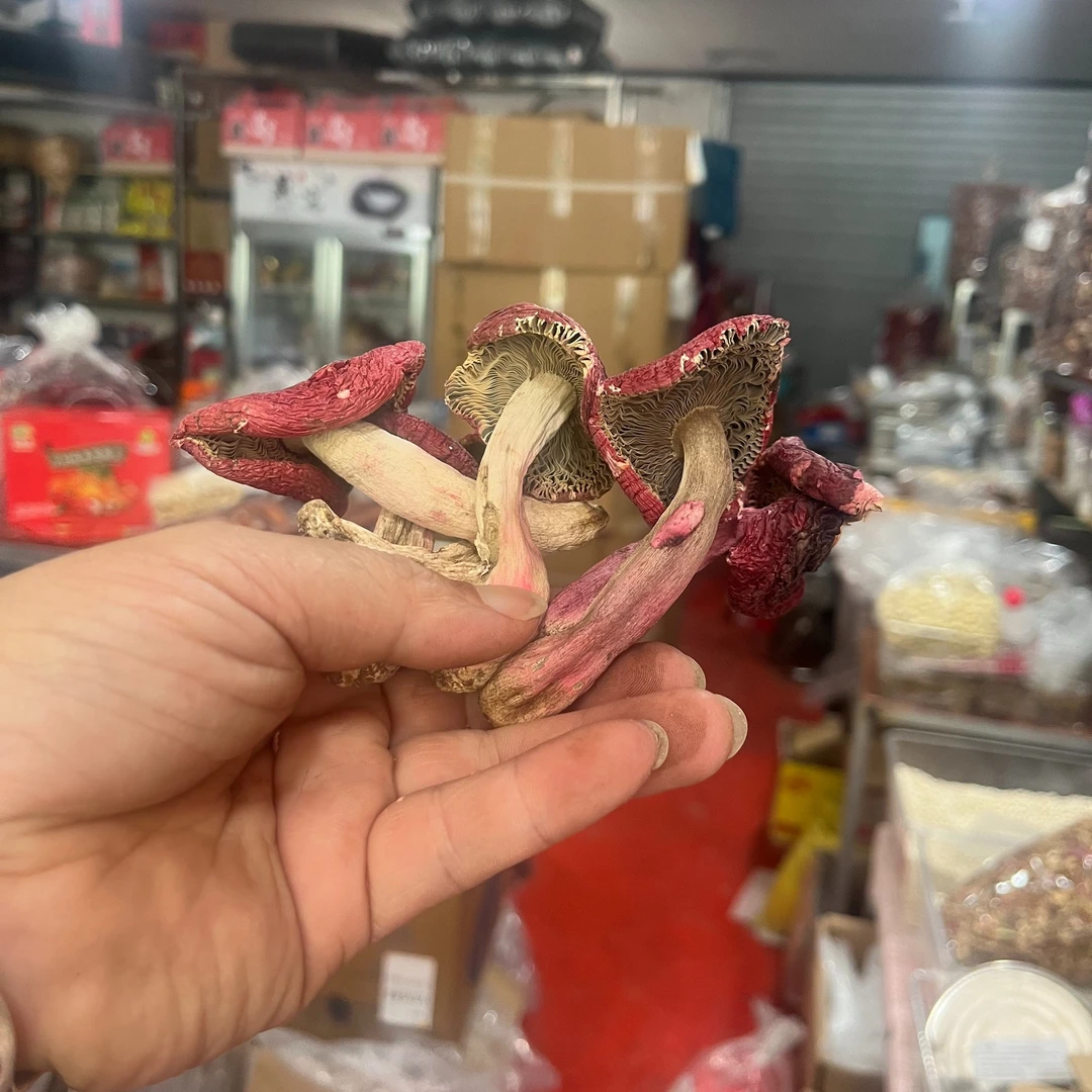 云南蓝底头茬三角红菇500g