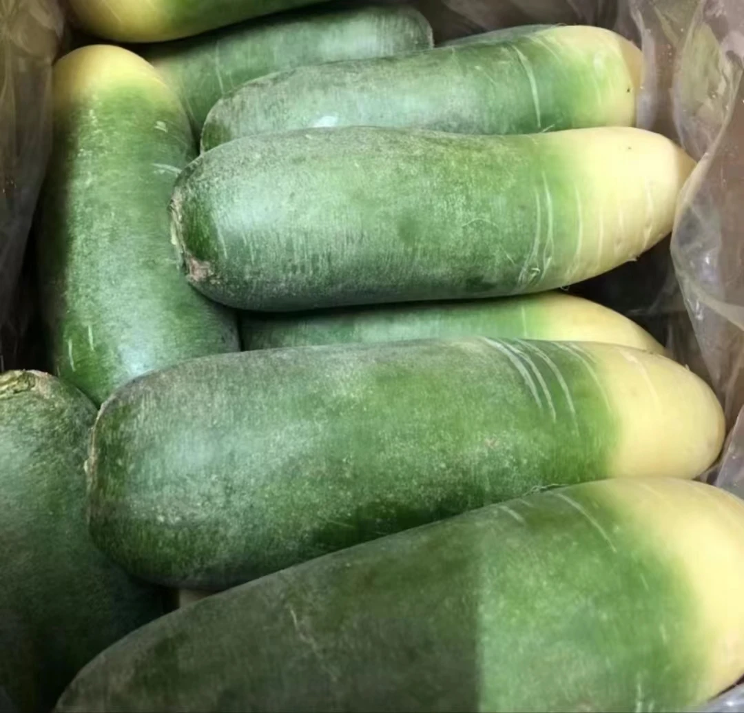 农家自种红萝卜绿萝卜白萝卜胡萝卜