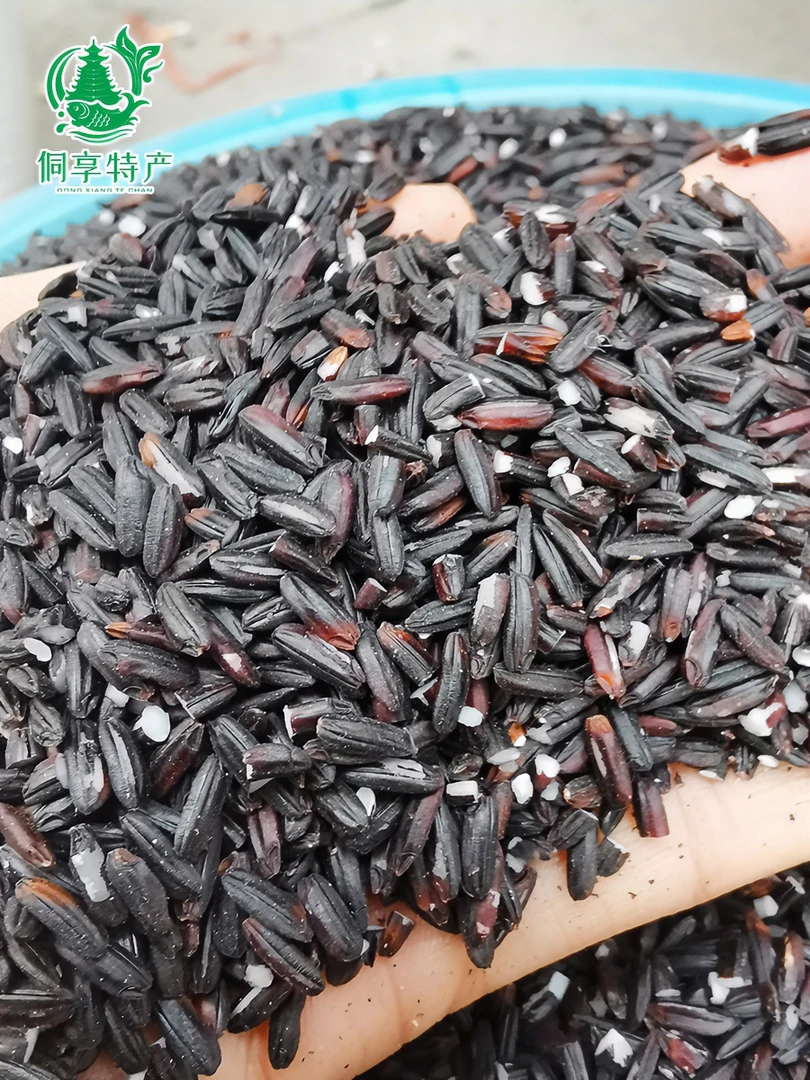 食用贵州特产紫糯米胭脂紫米黔东南农家老品种紫糯米侗家美食包邮