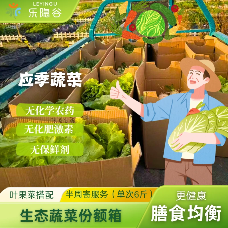 生态寄送蔬菜份额箱（6斤装）