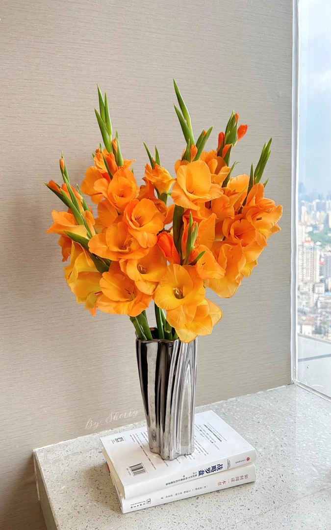【美润花卉】【剑兰橙色】东北直发家庭水生鲜切花清新淡雅浪漫